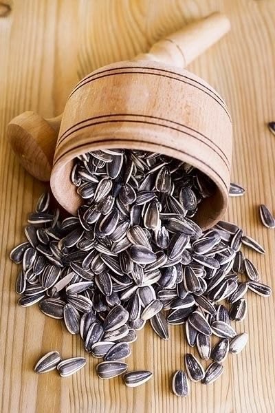 Kavrulmuş Ay Çekirdeği
